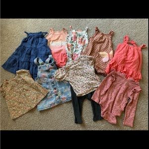 Toddler Girl Clothes Bundle 12-18m